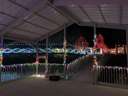 Zoo lights from the lake dock.