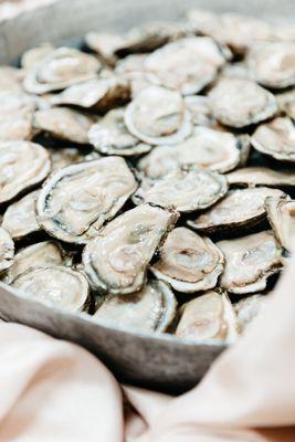 Oysters