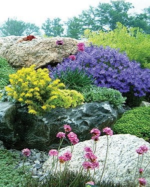 A coastal Maine rock garden. Gardens installed and maintained by Plainview Farm