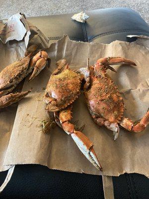 Large male crabs