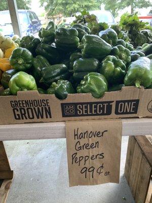 Hanover (local) green peppers