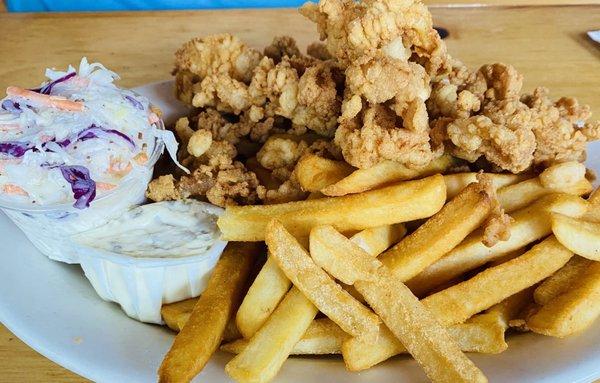 Clam strips and fries