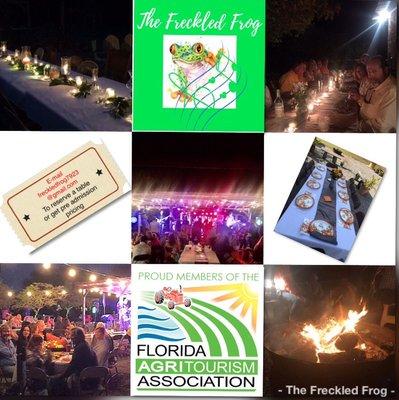 The Freckled Frog Venue