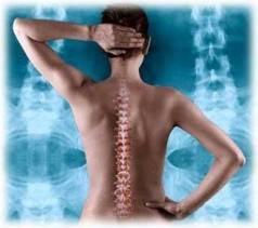 Have your had your spine checked lately? Call today for a check up!