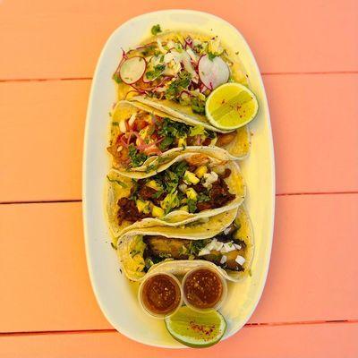 Tacos! (fresh masa tortillas, house-made salsa)