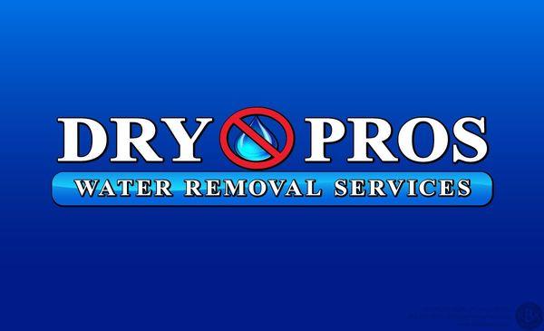 Dry Pros Austell, GA