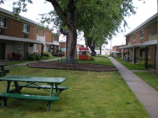 Yard between the buildings.