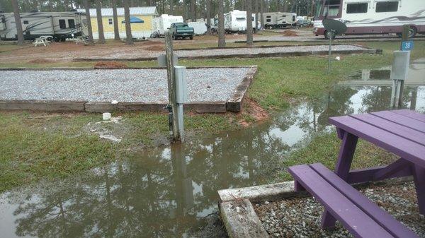 Sewage that backed up during the recent rain storm. The smell is awful.