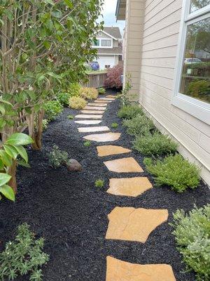 Alameda lagoon front home - Path from front the backyard.  Low maintenance, drought tolerant, colorful and lush native plants.