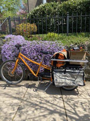 Motorized cargo bike