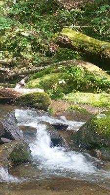 Creek down below the cabin complete with wood BBQ, fire pit, chairs, and picnic table.