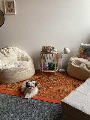 Theo lounging in our cozy corner.