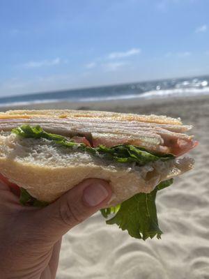 Turkey sammy on the beach