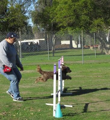 My dog Geppetto and I in our agility class. Danielle has done wonders with him!