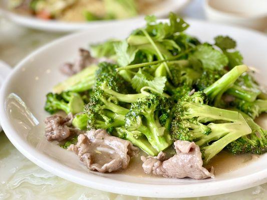 Beef Broccoli