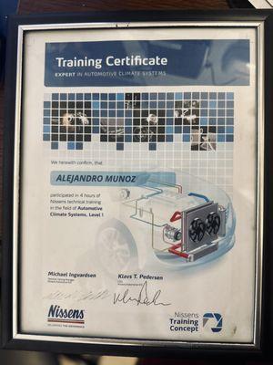 Training Certificate, Expert in Automotive Climate System.