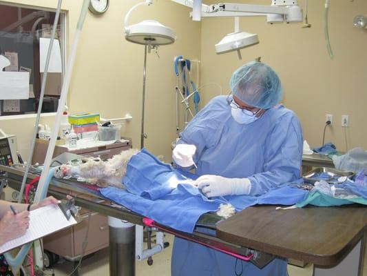 We perform surgery at the highest level of quality for our patients.