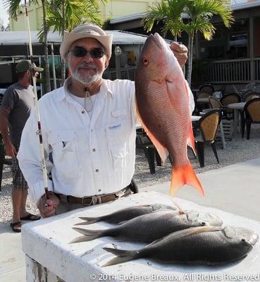 Caught these fish on Captain Chan's boat the Gulfstream.