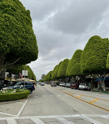 Glendora downtown "Village" area