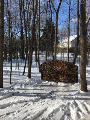 Perfectly stacked red cedar seasoned Face cord of firewood delivered the next day after calling -CURTIS  at Timber Beast did excellent job