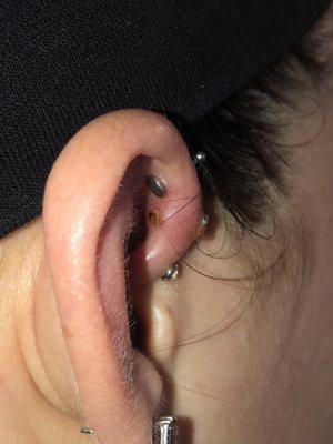 Infected tapered ear