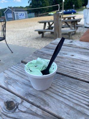 Mint Chip