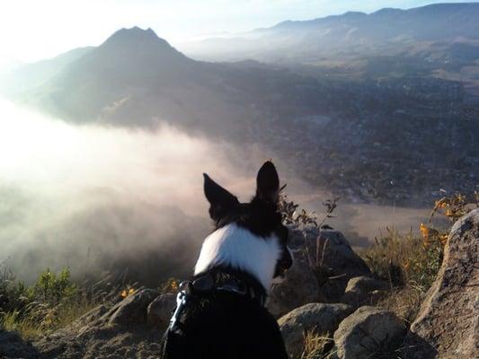 Winnie on top of San Luis Cerro Mountain