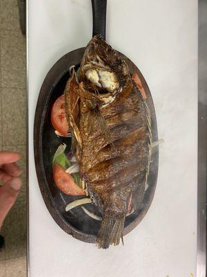 Mojarra frita. Fried tilapia fish.