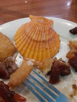 The shell from my crab cake. I like the variety here. Sweet corn nuggets,scallions,pudding and ice cream.