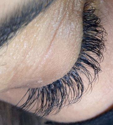 Classic lash extensions