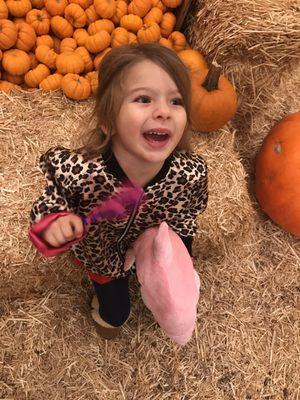 Tom's Adventures Pumpkin Patch & Christmas Tree - Mira Mesa