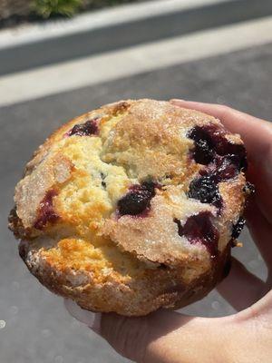 Blueberry muffin