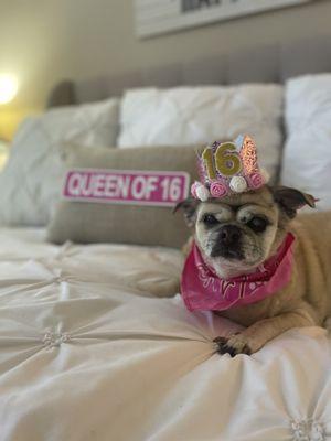 Queen of 16!