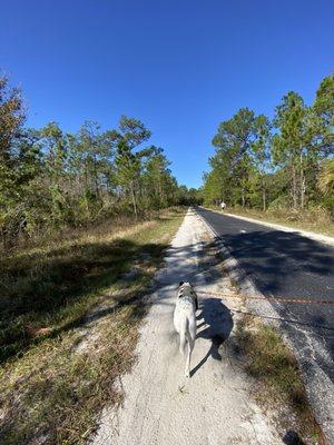 Flatwoods Conservation Park