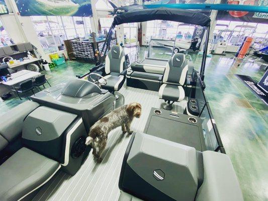 Riggs aboard a South Bay in our main showroom.