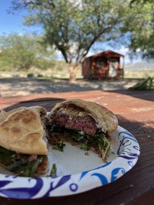 Diner at our site.  Sorry we didn't take more photos.