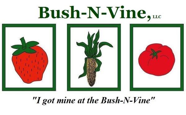 Bush-N-Vine Logo