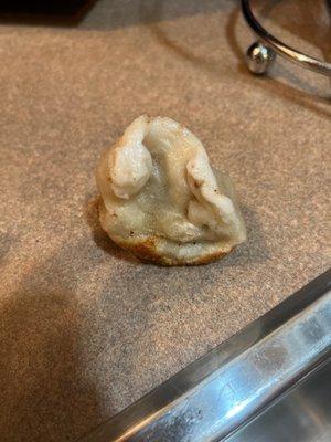 "Fried" Dumpling