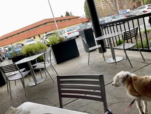 Outdoor seating area (dog friendly)