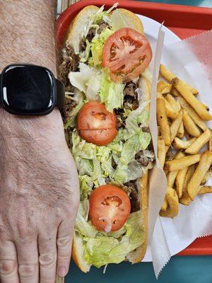 Cheesesteak sub. It was delicious. But huge. Use caution.