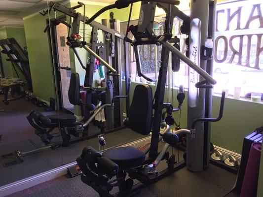 Rehab and private personal training gym.