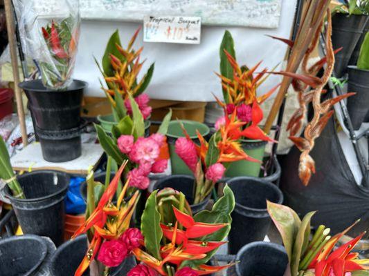 Tropical flowers