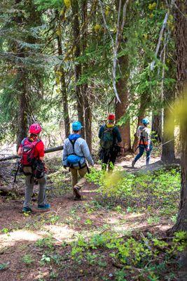 Tamarack Ziplining Tours