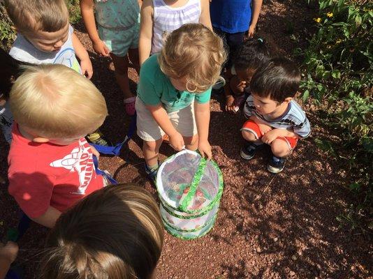 Wee Care Preschool Lakeview Chicago