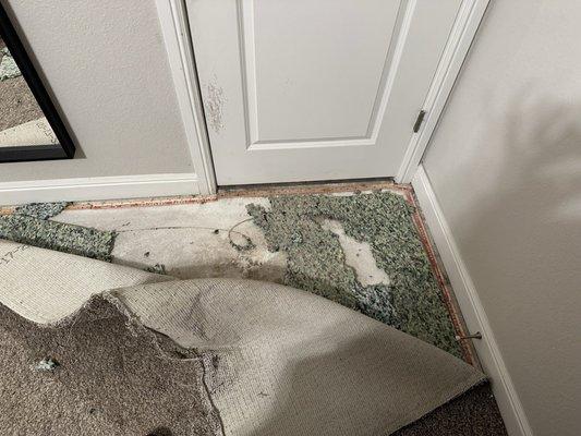 Helix Carpet Repair