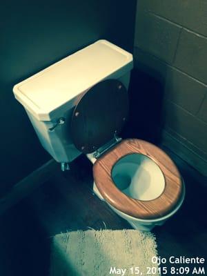 Deluxe functional toilet with genuine wood seat.