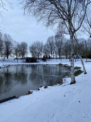 Duck pond with families sledding in the background