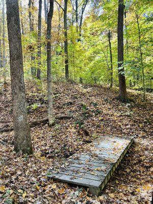 Brown County State Park