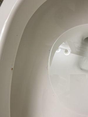 Dirty toilet bowl