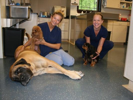 Certified Veterinary Technicians Brittany and Kate take a moment for a little TLC.